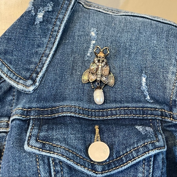 Abalone Moth Insect Brooch - Picture 2 of 9